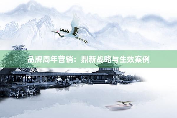 品牌周年营销：鼎新战略与生效案例